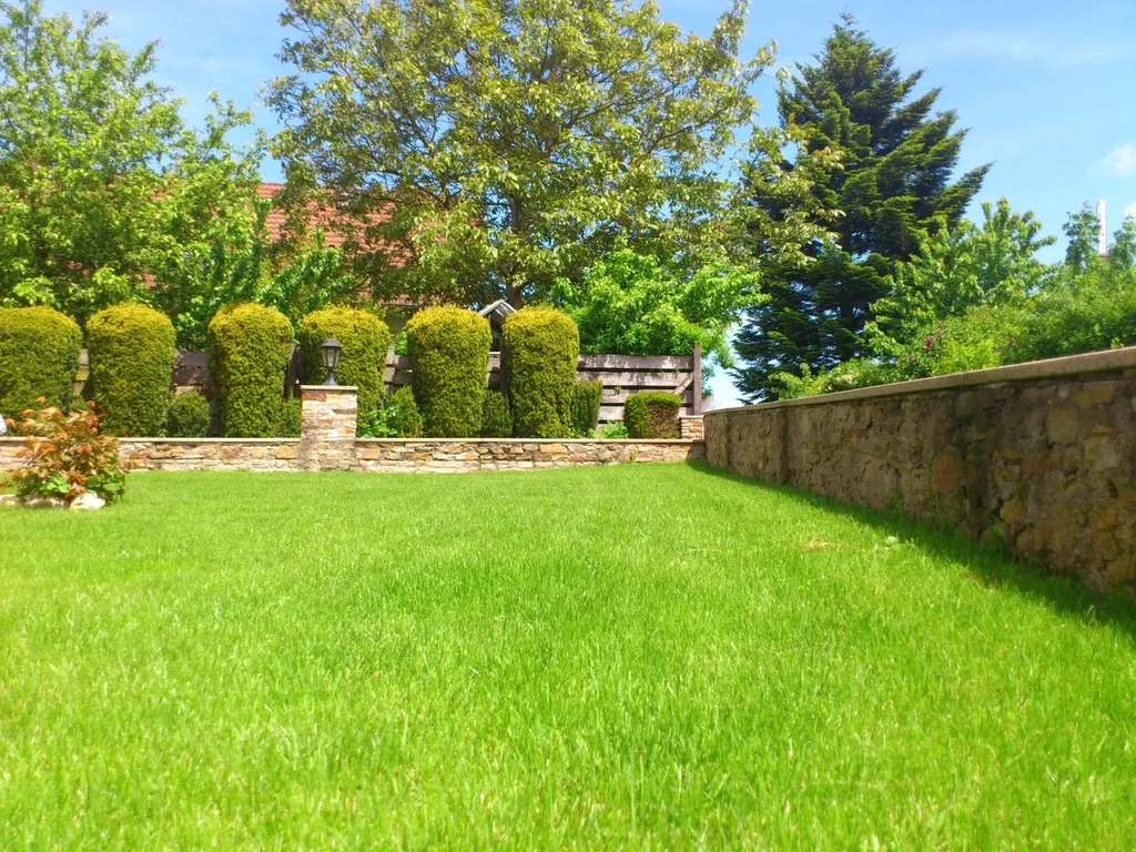 Green backyard lawn between a stone retaining wall and a row of hedges